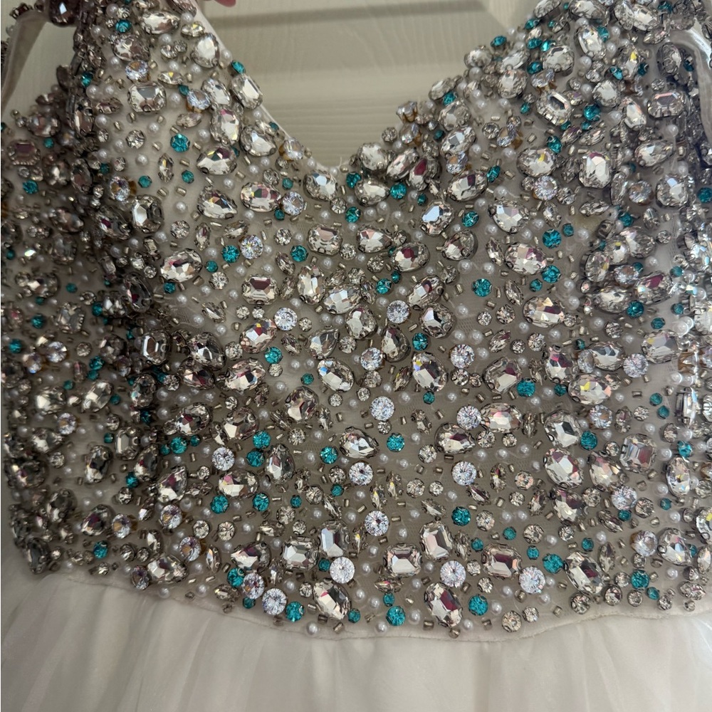 Ashley Lauren Pageant Dress - Picture 4 of 9